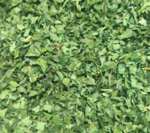 Basil (Leave)