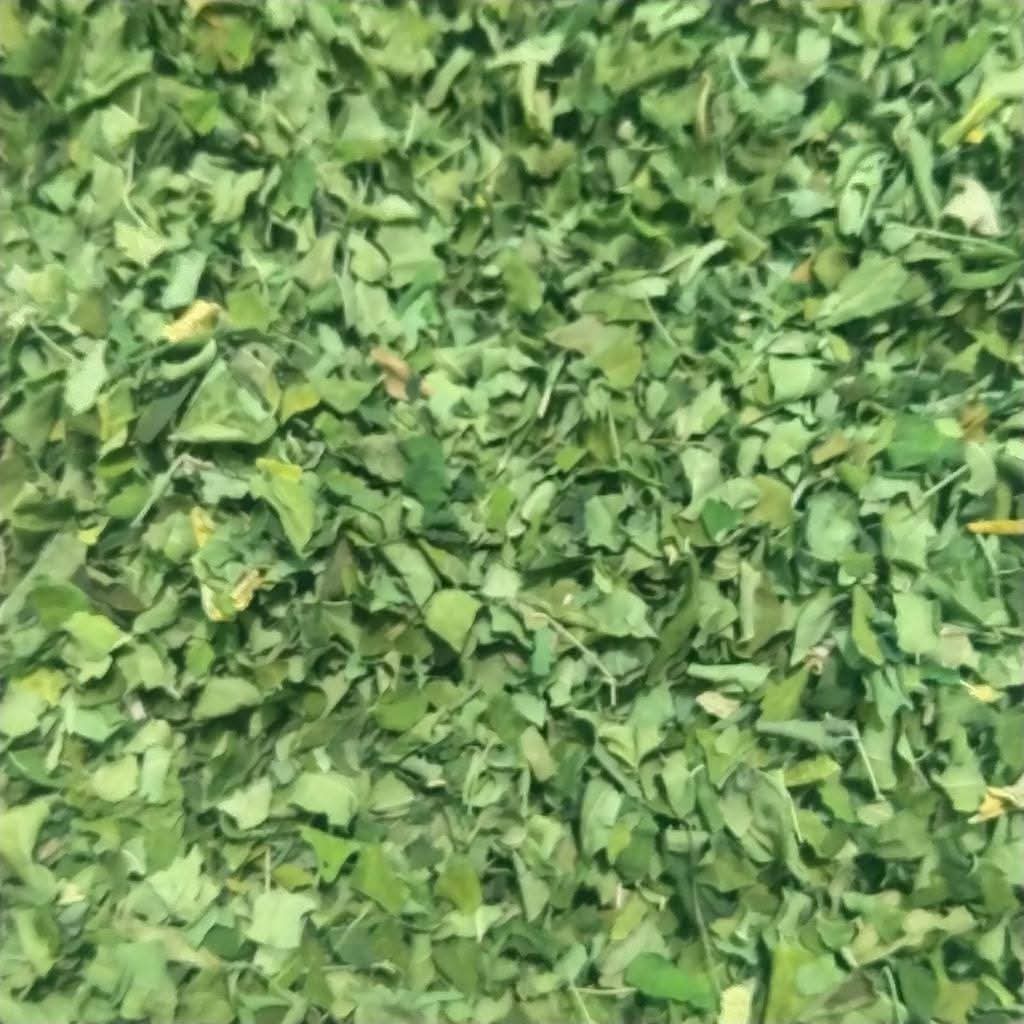 Basil (Leave)