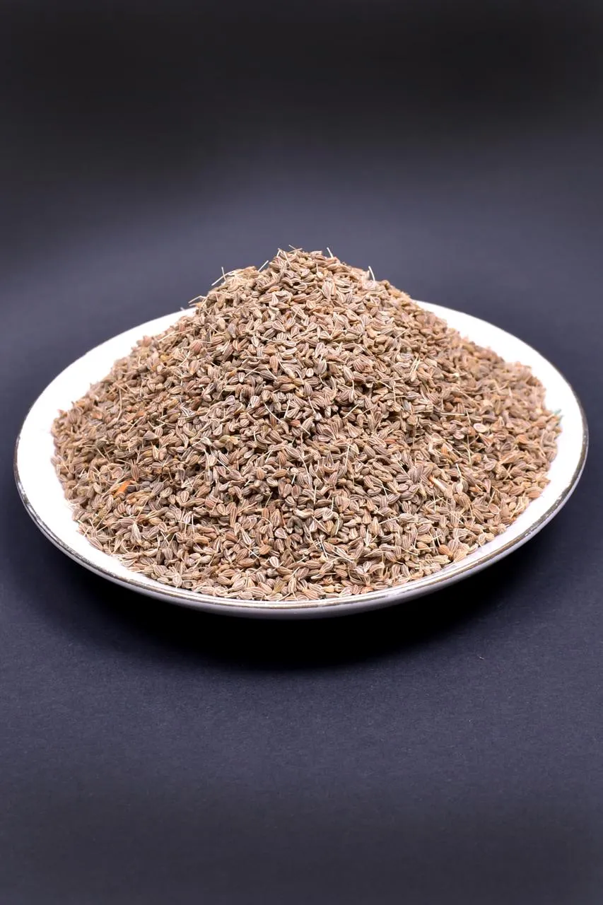 Fennel (Seeds) - Image 2