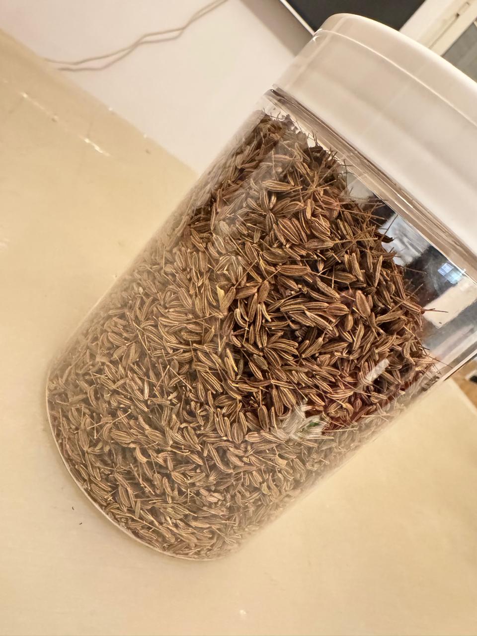 Fennel